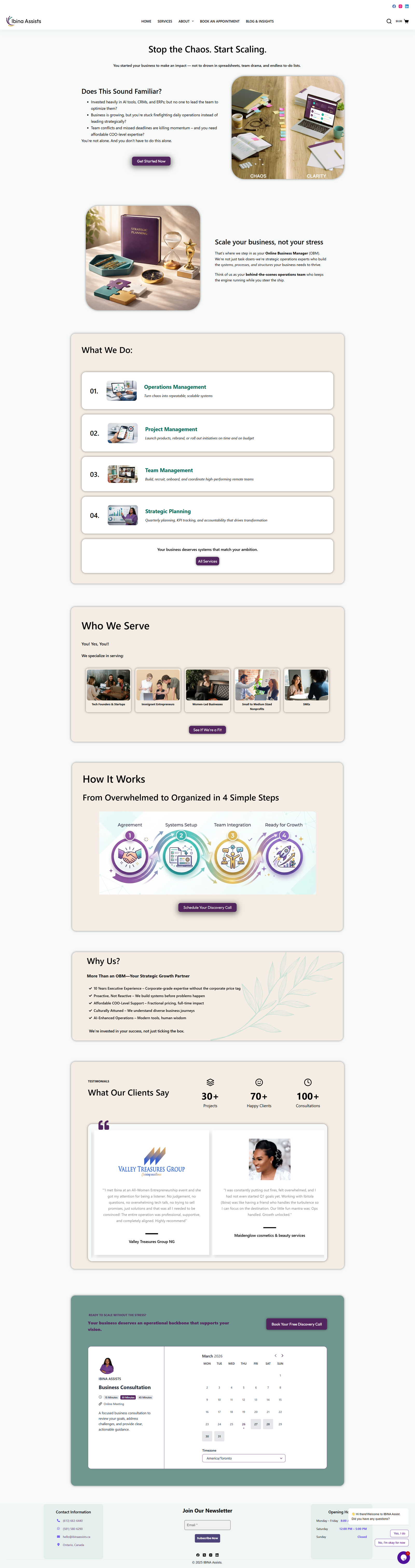 IBINA Business Website